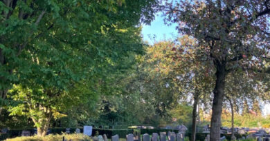 Dinsdagmiddag herfstwandelingen begraafplaats Emmeloord.